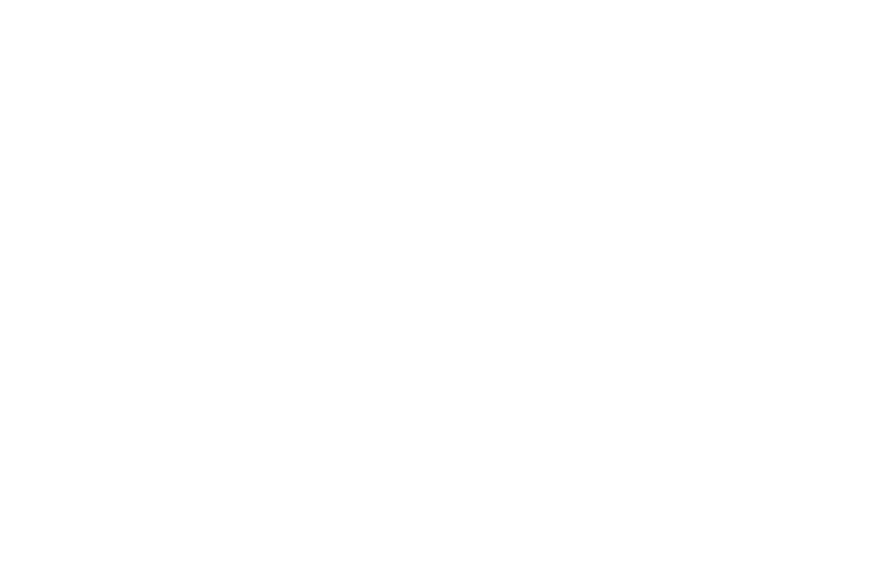 Elections Printing - Logo